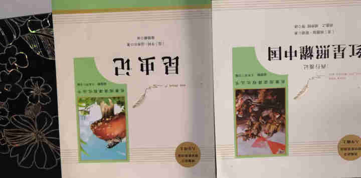 红星照耀中国+昆虫记人民教育出版社八年级上册统编语文教材配套阅读教育部指定人教版昆虫记红星照耀中国怎么样，好用吗，口碑，心得，评价，试用报告,第4张