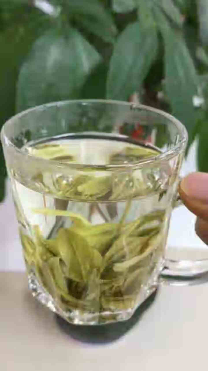 【第二件5折】2019新茶 正宗安吉白茶 明前茶叶 绿茶春茶珍稀白茶黄金白茶散装传统纸包装100g 安吉白茶怎么样，好用吗，口碑，心得，评价，试用报告,第4张