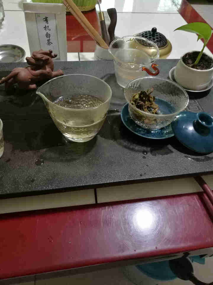 品雅 福鼎白茶 有机寿眉茶叶散茶正宗福建白茶原料100克（50g*2罐）礼盒装 产地精选 7克 样品试喝装怎么样，好用吗，口碑，心得，评价，试用报告,第4张