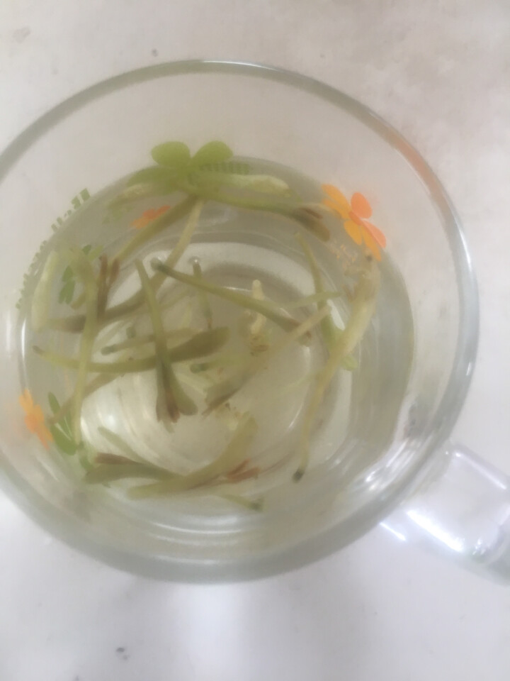 [买一送一]珍茶集金银花茶 下火去火花草茶降肝火败火搭配菊花胖大海 清火祛湿热50g/罐养生茶怎么样，好用吗，口碑，心得，评价，试用报告,第3张