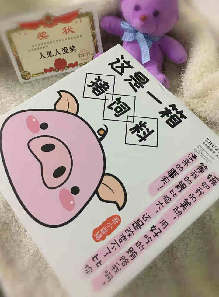 零食大礼包一整箱组合装送女友儿童生日礼物休闲零食小吃空投箱零食礼盒猪饲料大礼包恶搞 【猪饲料款】,第2张