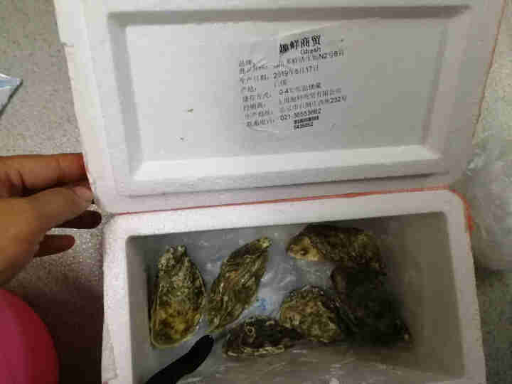 Gfresh法国吉拉多生蚝（牡蛎）Gillardeau吉娜朵生蚝 进口刺身 N2号 6只装怎么样，好用吗，口碑，心得，评价，试用报告,第2张