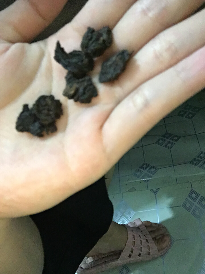 易武糯香茶头 试饮装怎么样，好用吗，口碑，心得，评价，试用报告,第4张