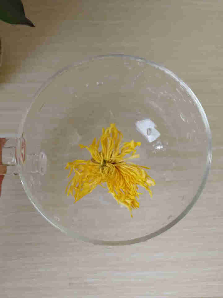 【买2送1再送水杯】花养花 金丝皇菊花茶去火菊花茶金丝黄菊茗品春夏清火去热可搭配枸杞一朵一杯 罐装20g怎么样，好用吗，口碑，心得，评价，试用报告,第3张