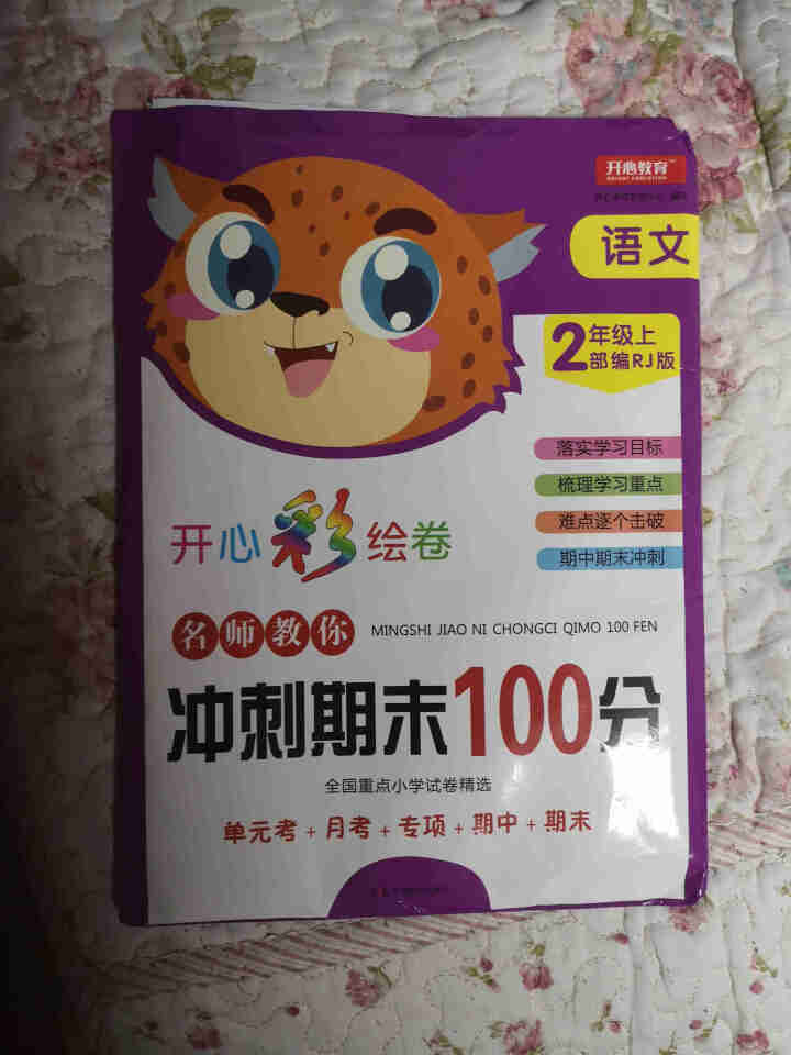 2019二年级上册名师教你冲刺期末100分彩绘试卷语文数学 小学2年级 语文人教版怎么样，好用吗，口碑，心得，评价，试用报告,第2张