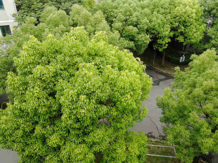 雅嘟安贝超薄透气纸尿裤经济装男女宝宝通用新生婴儿尿不湿 纸尿裤试用装L3片怎么样，好用吗，口碑，心得，评价，试用报告,第3张