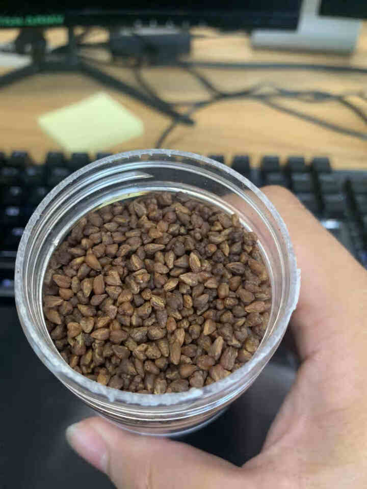 大凉山黑苦荞茶全胚芽特级浓香型 荞麦茶罐装 300g怎么样，好用吗，口碑，心得，评价，试用报告,第4张