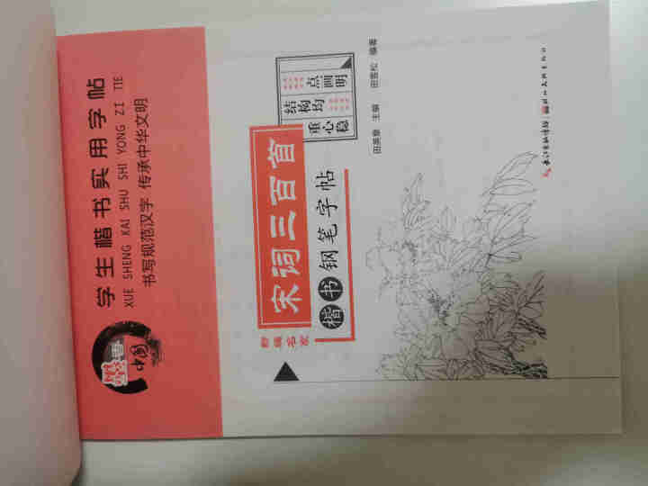 田英章硬笔楷书书法 钢笔字帖楷书入门唐诗三百首常用汉字名人名言中小学钢笔字帖 唐诗宋词共2册怎么样，好用吗，口碑，心得，评价，试用报告,第4张