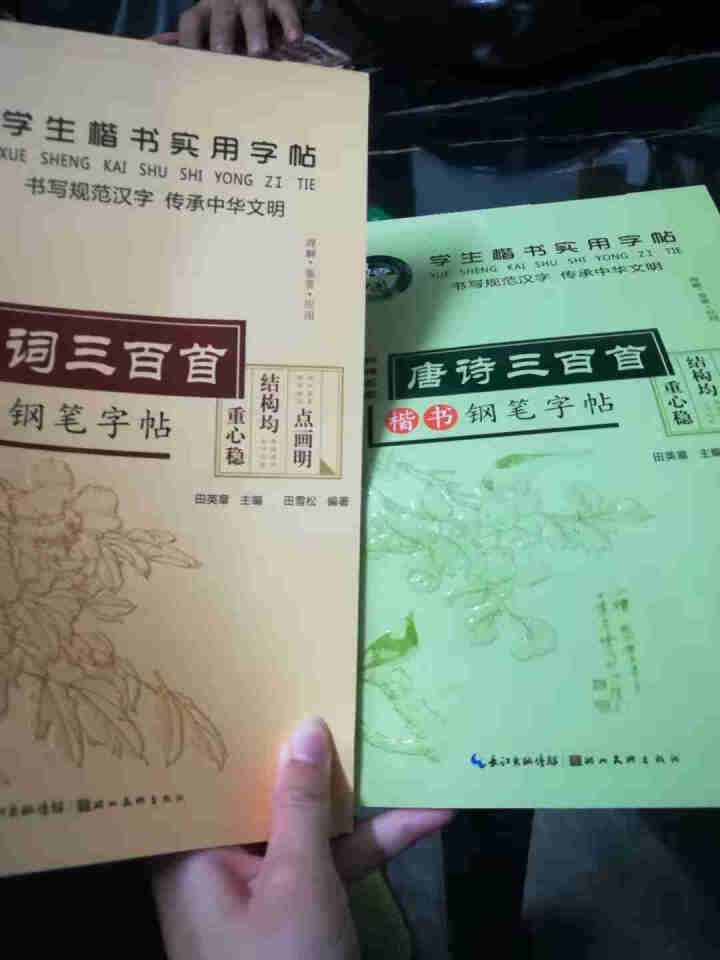 田英章硬笔楷书书法 钢笔字帖楷书入门唐诗三百首常用汉字名人名言中小学钢笔字帖 唐诗宋词共2册怎么样，好用吗，口碑，心得，评价，试用报告,第2张