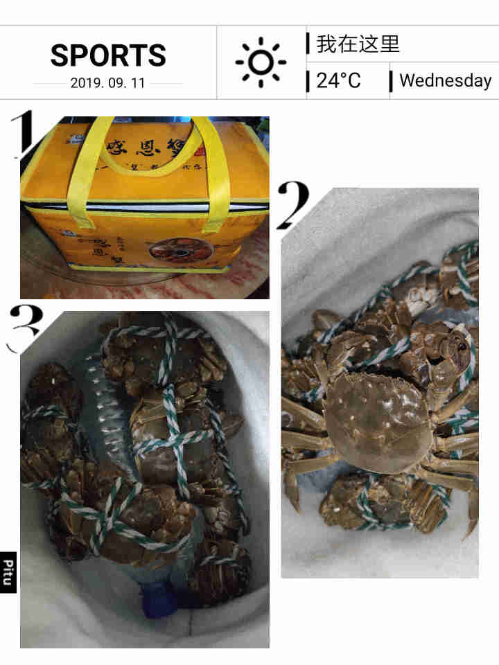【现货！领券立减150元】每必鲜 盘锦稻田河蟹 鲜活大闸蟹螃蟹 中秋送礼企业团购 全母蟹2.0两 10只怎么样，好用吗，口碑，心得，评价，试用报告,第2张