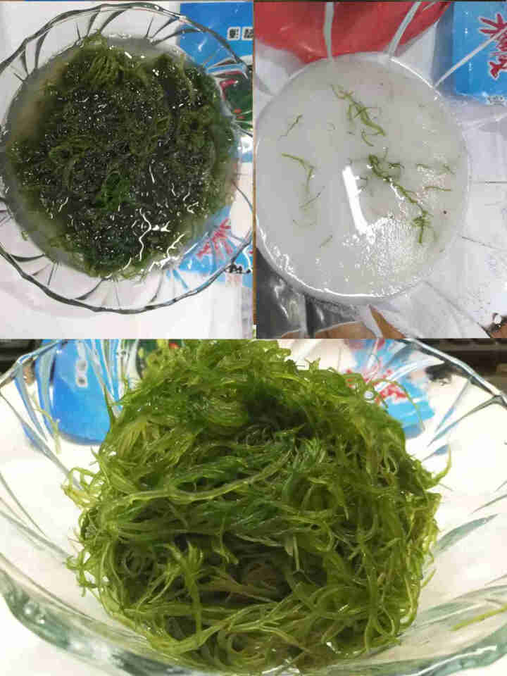 安道子天然盐渍海草龙须菜凉拌美食绿藻海菜裙带菜 会跳舞的海草250g怎么样，好用吗，口碑，心得，评价，试用报告,第3张