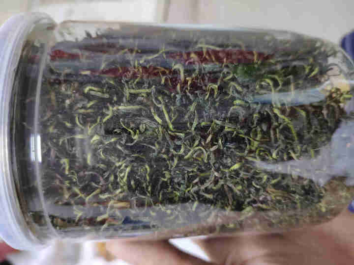 蒲公英茶 长白山野生特级罐装婆婆丁花草茶叶精选怎么样，好用吗，口碑，心得，评价，试用报告,第4张