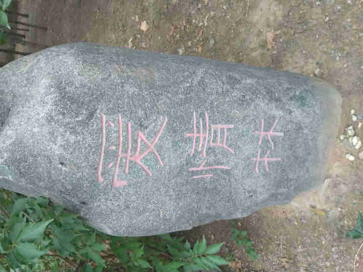 陆宝 五花肉腊肉腊味 正宗广西农家特产  精选陆川土猪后腿腊肉380g包邮怎么样，好用吗，口碑，心得，评价，试用报告,第4张