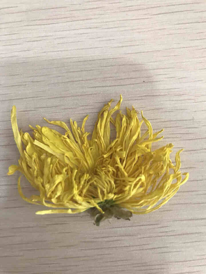 新婺菊花茶金丝皇菊大朵菊花茶一朵一杯贡菊花草茶罐装散装 约50朵/罐 泡开6,第4张