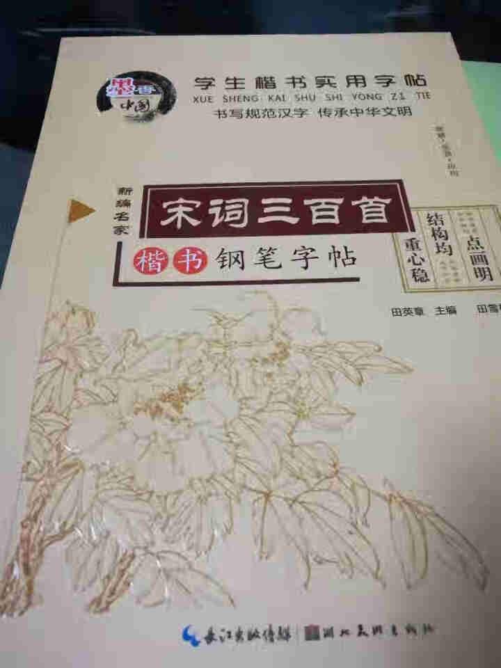 田英章硬笔楷书书法 钢笔字帖楷书入门唐诗三百首常用汉字名人名言中小学钢笔字帖 唐诗宋词共2册怎么样，好用吗，口碑，心得，评价，试用报告,第3张