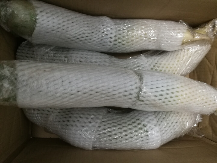 【京东农场】潍坊潍县水果青萝卜 白萝卜约2.5kg 火锅食材 坏果包赔 产地直发怎么样，好用吗，口碑，心得，评价，试用报告,第2张