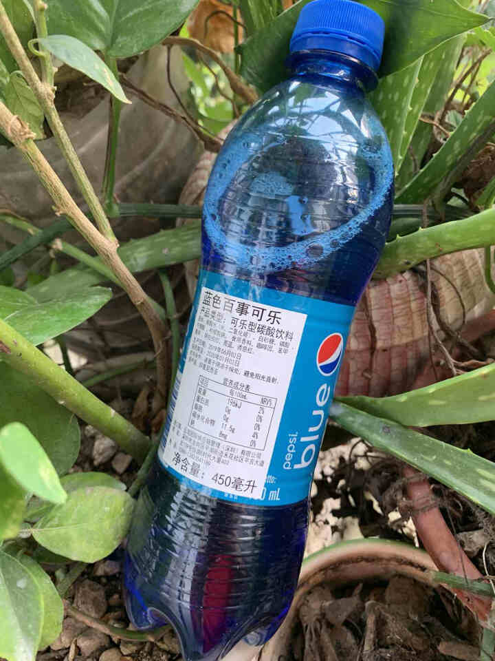 【圆通快递】巴厘岛网红百事蓝色可乐blue梅子味进口碳酸饮料450ml瓶装 休闲饮料 单瓶450ml(新日期)怎么样，好用吗，口碑，心得，评价，试用报告,第4张