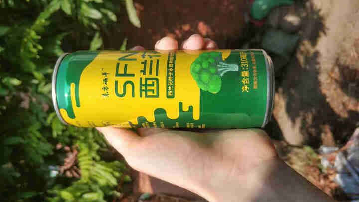 东方硒草 SFN西兰花植物饮料 种子水提物 萝卜硫苷 酸甜爽口 整箱装 310ml*6罐装怎么样，好用吗，口碑，心得，评价，试用报告,第4张