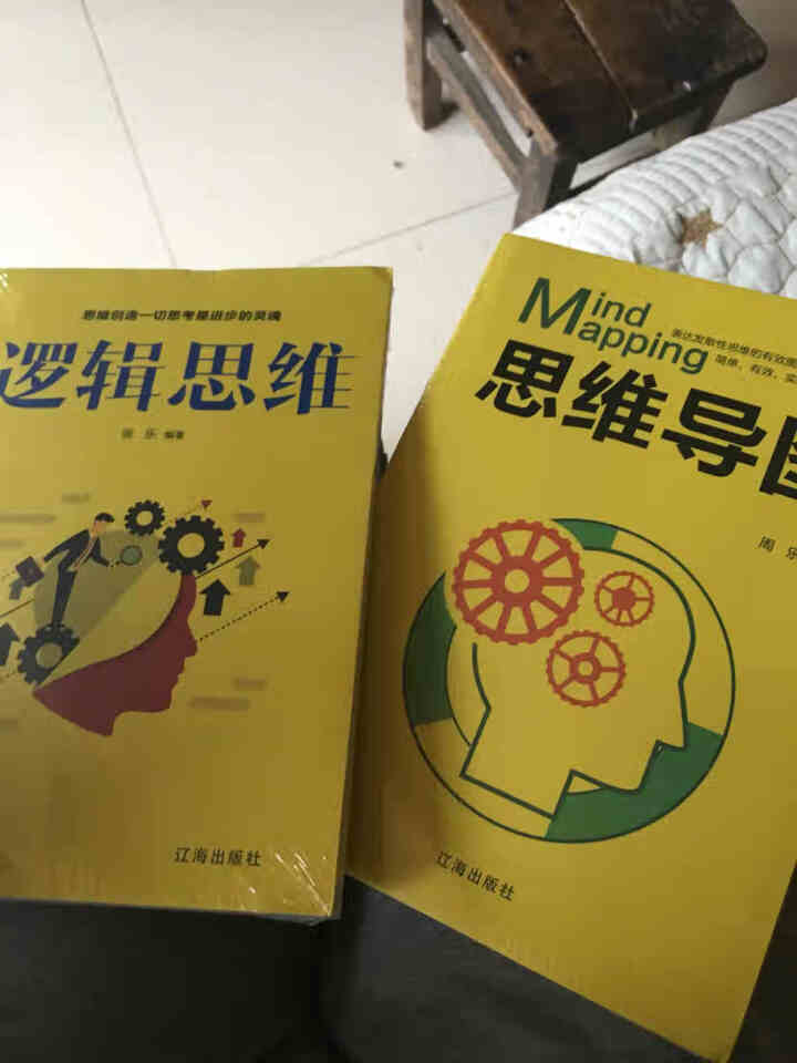 5册逻辑思维 最强大脑 超级记忆术 思维导图 思维风暴 有效的提升记忆提高左右脑思维智慧智商训练书怎么样，好用吗，口碑，心得，评价，试用报告,第3张