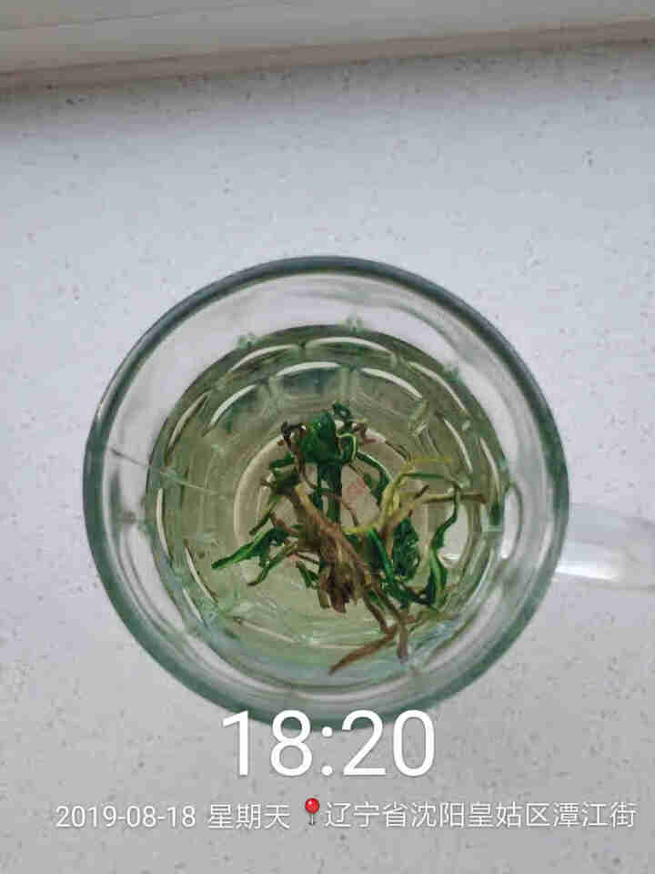 蒲公英茶 野生散装 婆婆丁花草茶叶怎么样，好用吗，口碑，心得，评价，试用报告,第4张