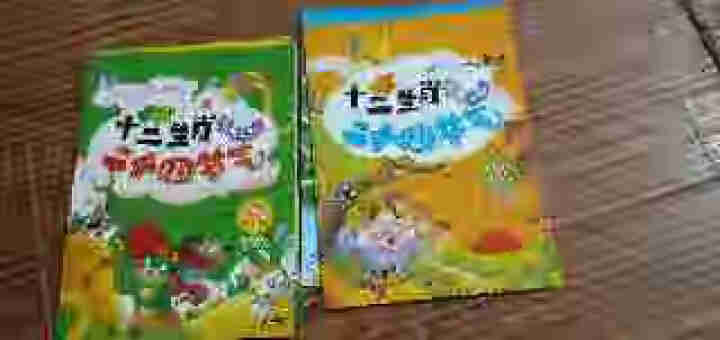 【大开本】十二生肖玩转二十四节气 全4册 科普游戏绘本3,第4张