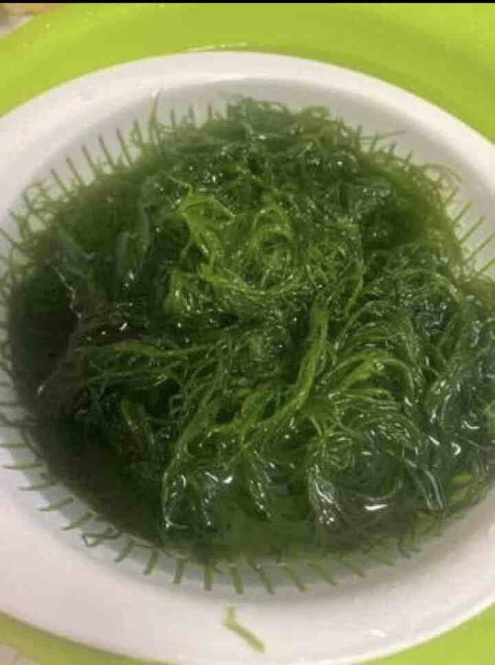 安道子天然盐渍海草龙须菜凉拌美食绿藻海菜裙带菜 会跳舞的海草250g怎么样，好用吗，口碑，心得，评价，试用报告,第3张