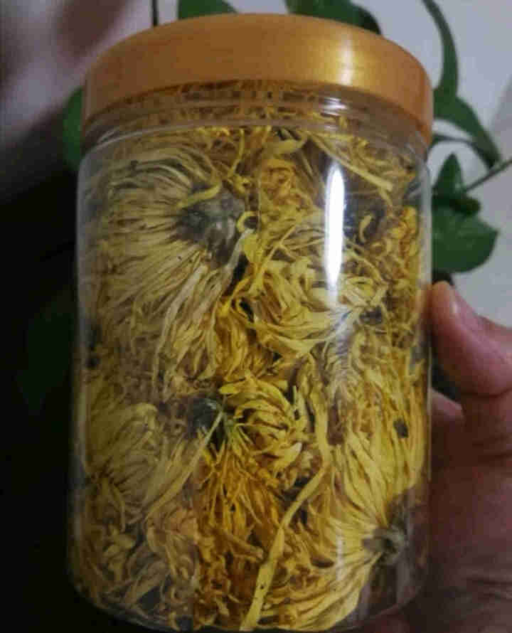 金丝皇菊一朵一杯安徽黄山特级皇品菊花茶 袋泡茶大朵黄菊 50朵散装怎么样，好用吗，口碑，心得，评价，试用报告,第2张