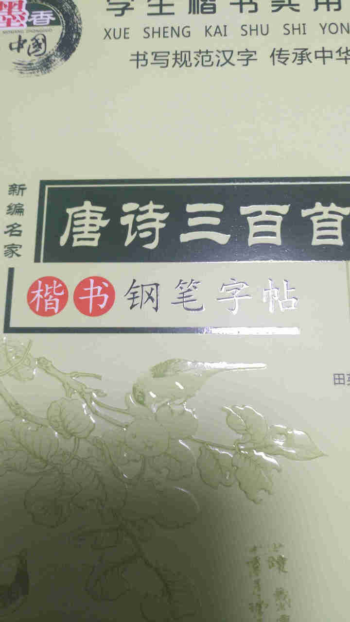 田英章硬笔楷书书法 钢笔字帖楷书入门唐诗三百首常用汉字名人名言中小学钢笔字帖 全12册田英章字帖怎么样，好用吗，口碑，心得，评价，试用报告,第4张