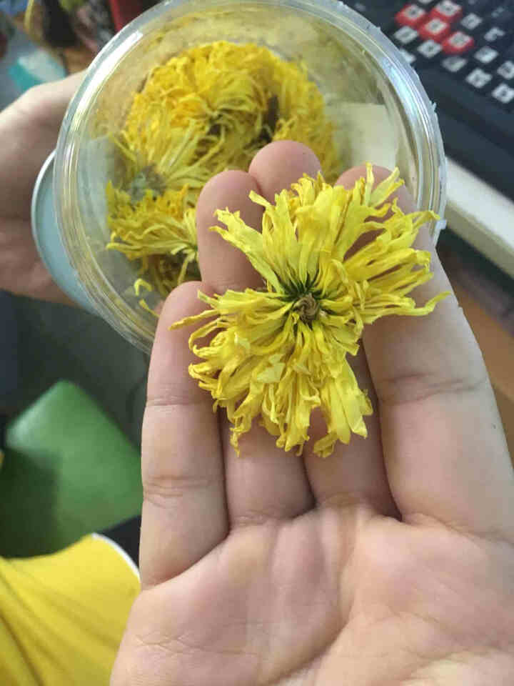 【买2送1再送水杯】花养花 金丝皇菊花茶去火菊花茶金丝黄菊茗品春夏清火去热可搭配枸杞一朵一杯 罐装20g怎么样，好用吗，口碑，心得，评价，试用报告,第4张