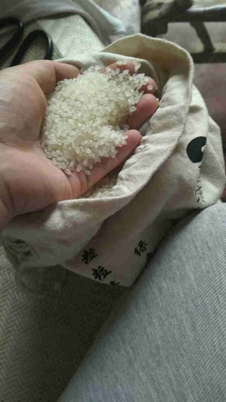 添翼 沙地小粒香 内蒙古沙田稻 东北大米 2.5kg,第4张