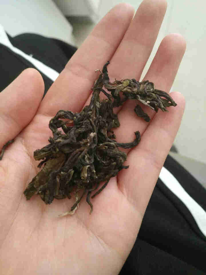 荡气回肠!普洱茶生茶沱金瓜贡饼冰岛古树茶大美云南茶叶 金瓜沱茶试饮装怎么样，好用吗，口碑，心得，评价，试用报告,第3张