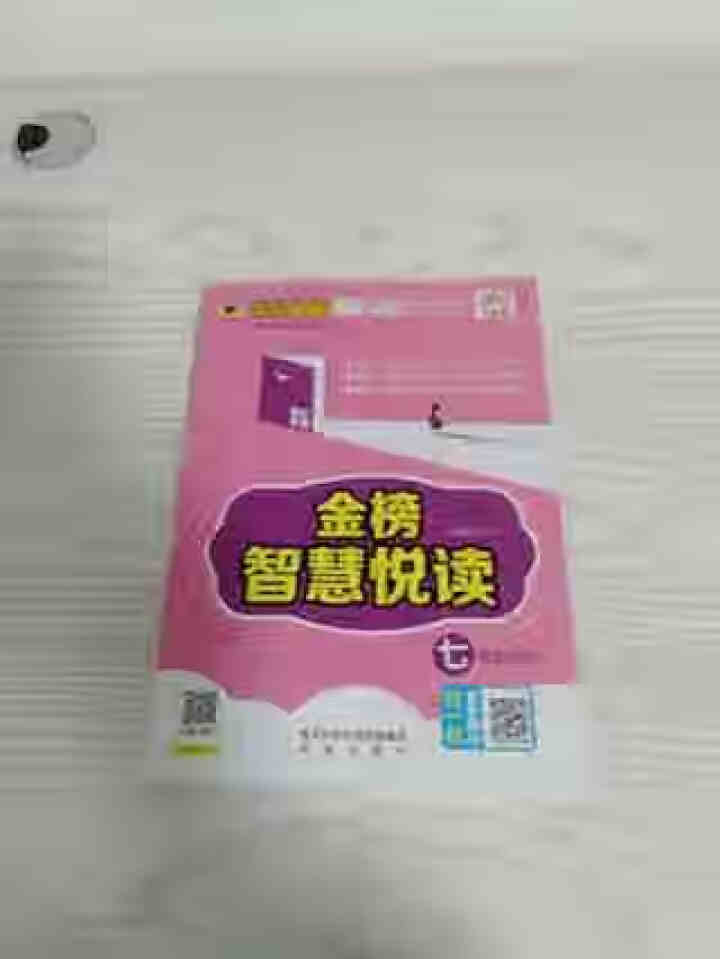 金榜智慧悦读 小学7年级下册语文（部编语文教材适用）怎么样，好用吗，口碑，心得，评价，试用报告,第3张