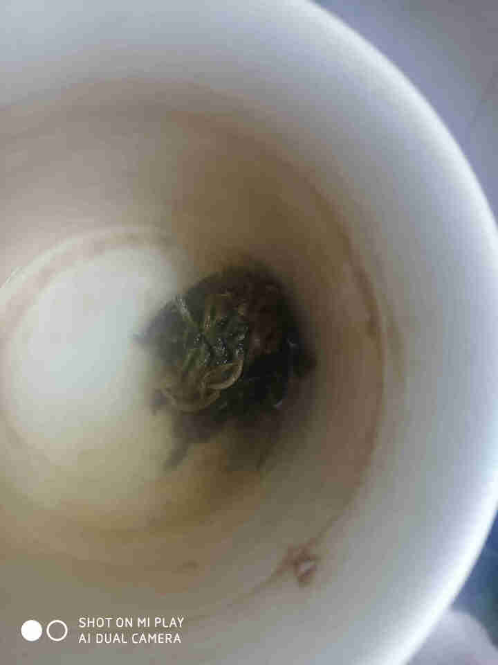 铸普号茶叶2019年昔归古树春茶小龙珠普洱茶生茶散茶迷你小沱茶40克5粒试用装怎么样，好用吗，口碑，心得，评价，试用报告,第4张