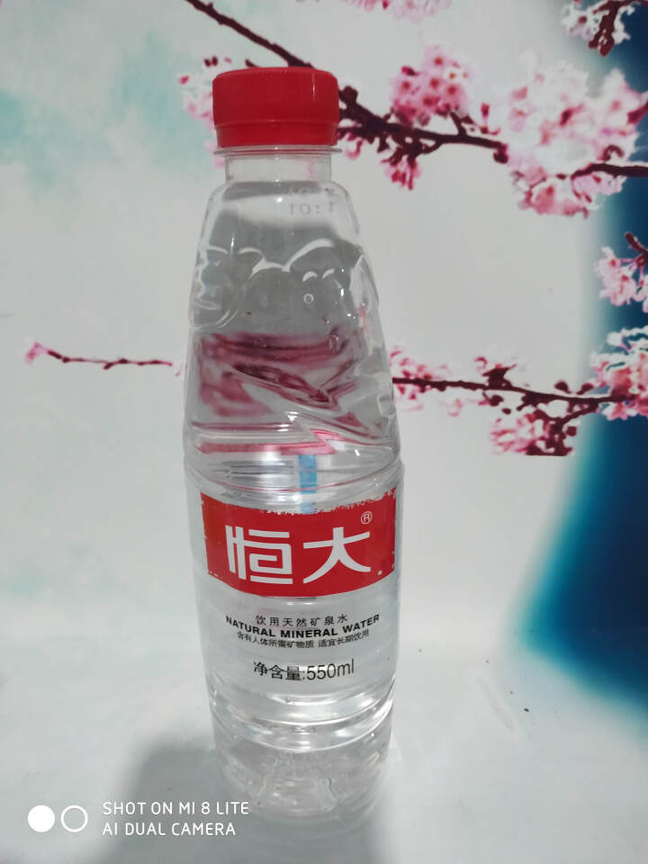 【整箱买一送一】恒大 天然矿泉水饮用水瓶装水非纯净水 550ml*1瓶（样品不售卖）怎么样，好用吗，口碑，心得，评价，试用报告,第2张