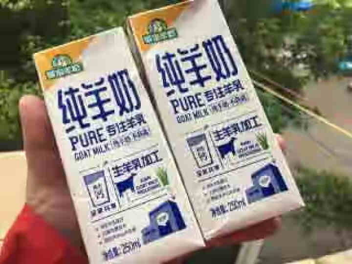 御宝纯羊奶无添加原生高钙液态羊奶 送礼佳品250ml/2支装/6支装/10支装 2支装怎么样，好用吗，口碑，心得，评价，试用报告,第2张