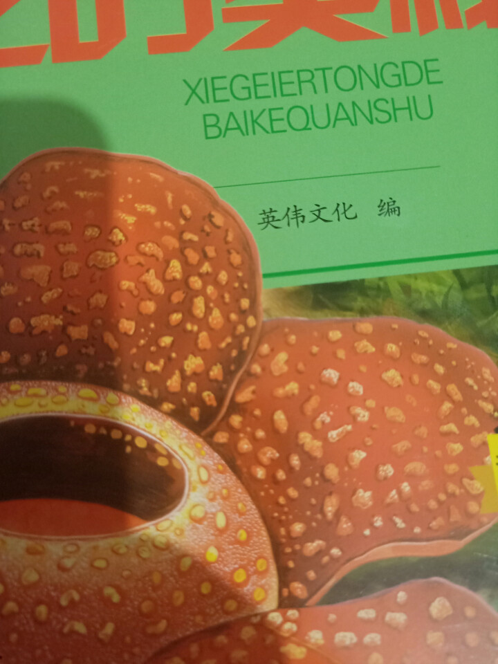 写给儿童的百科全书 全10册  彩图版 恐龙书籍动物世界十万个为什么6,第2张