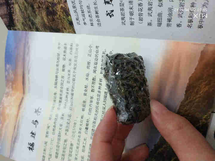 品雅 安溪铁观音茶叶清香型有机乌龙茶散装手工茶独立泡袋 2019年秋茶 品鉴装,第3张