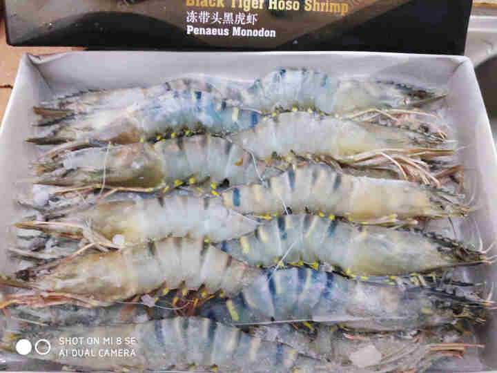 【抢！拍3件仅199元】鲜尝态 越南黑虎虾净重650g 大号活虾活鲜冷冻生鲜 虾类 18,第2张