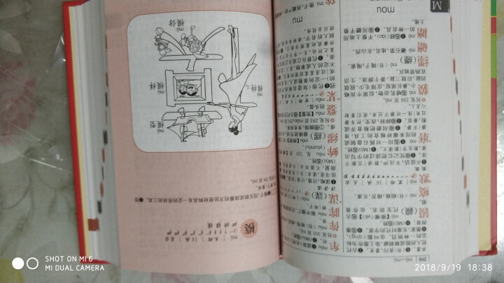 学生实用新华字典 全新版正版小学生专用新编实用工具书 中小学生专用新华字典1,第4张