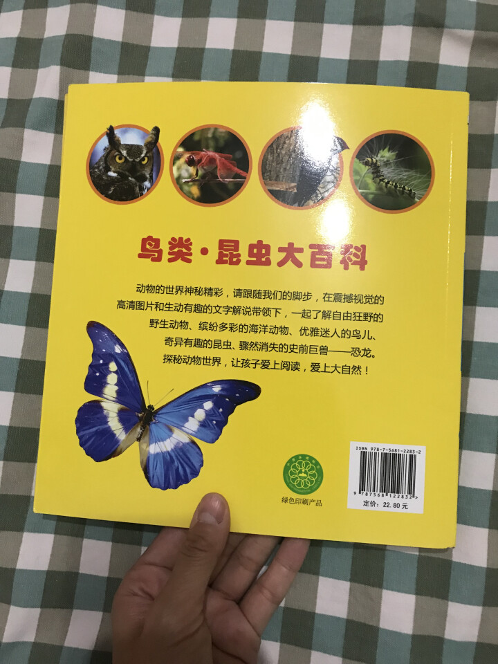 多彩童年我爱读系列4册 恐龙鸟类·昆虫大百科野生动物海洋动物大百科彩图注音版小学生课外科普百科全书 恐龙鸟类昆虫野生海洋动物大百科【4册】怎么样，好用吗，口碑，,第5张