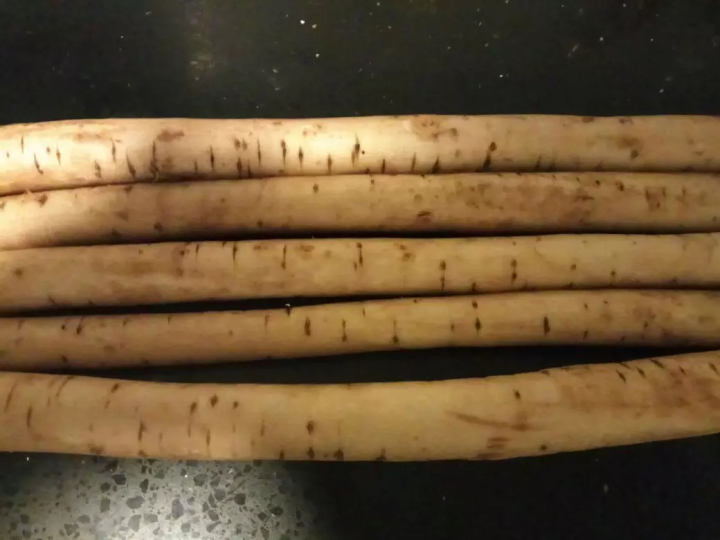 漫泉河黄皮牛蒡新鲜牛蒡牛蒡菜牛蒡茶原料5斤装