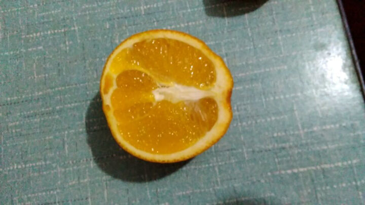 楼茵茵 新鲜水果金堂脐橙香甜橙子5斤装 12枚5斤装大果怎么样，好用吗，口碑，心得，评价，试用报告,第4张