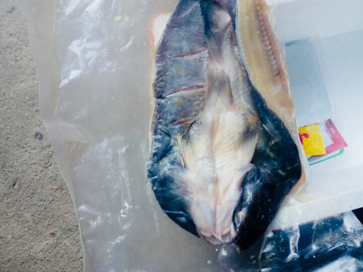 渔家郎 冷冻鮰鱼 烧烤鱼 鮰老鼠清江鱼原味锁鲜 500,第3张