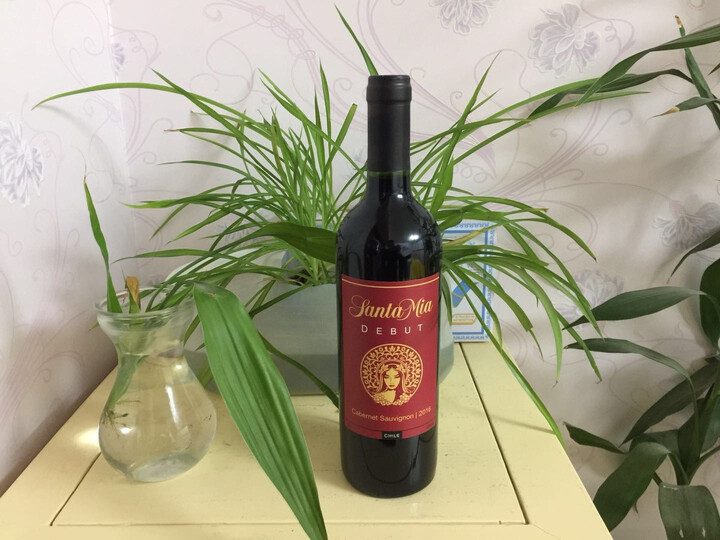 【京东配送】智利原瓶进口 中央谷valle central圣米亚 santa mia 首