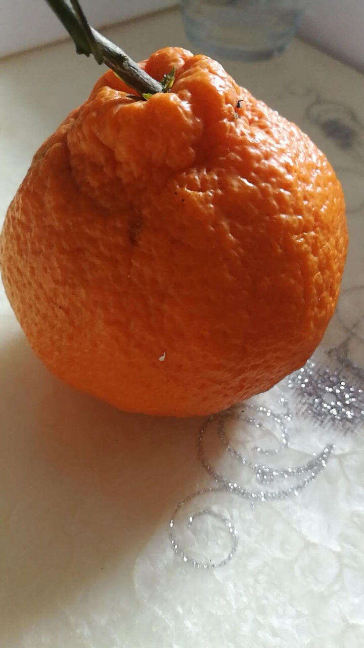 四川蒲江不知火丑橘2kg新鲜耙耙柑橘子不知火丑柑水果丑八怪桔子柑橘
