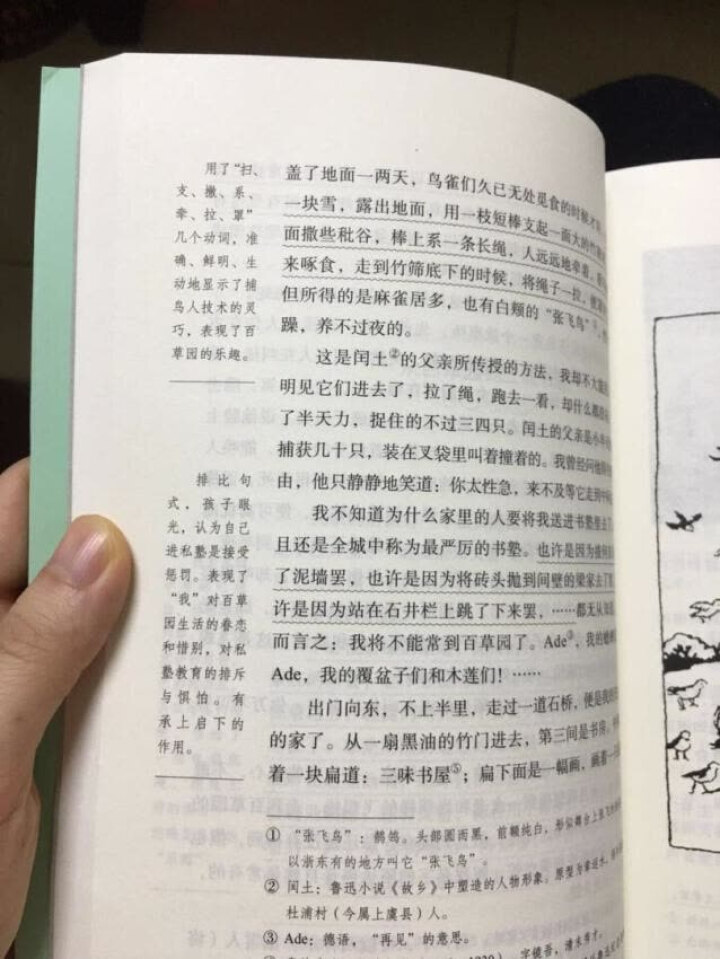 朝花夕拾原著初中版鲁迅新课标青少版初中七年级语文必读教育部书目初一初二13,第4张