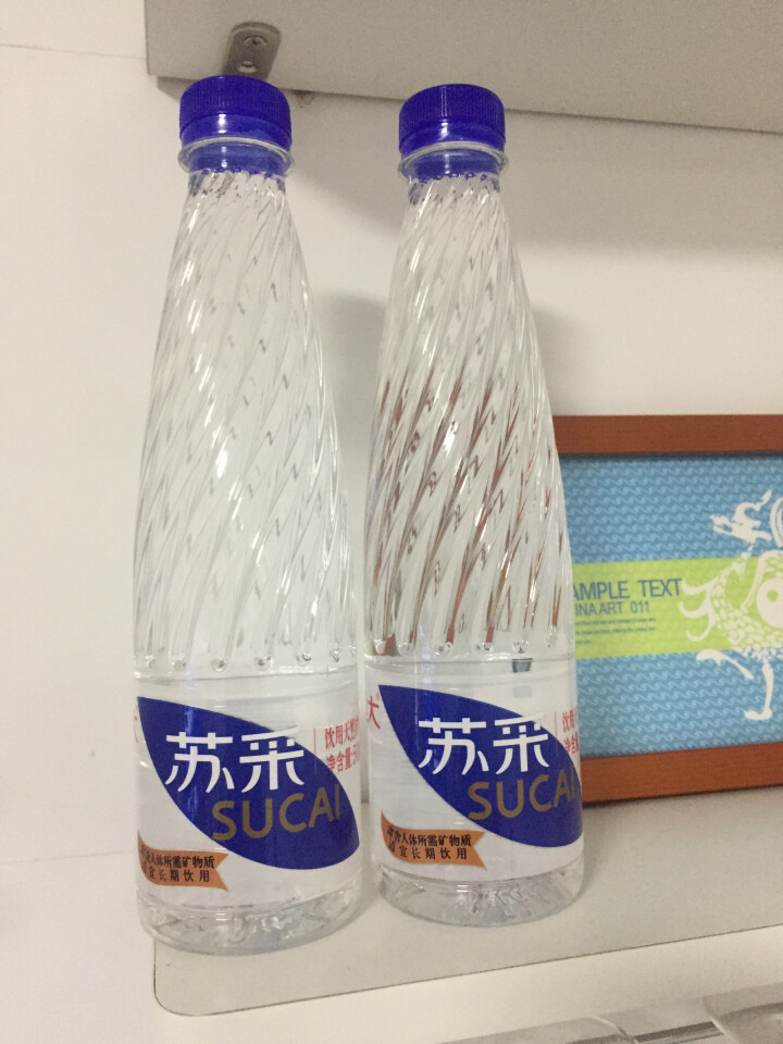 恒大 苏采天然矿泉水 饮用水 非纯净水 个性瓶身高颜值 500ml*1瓶（样品不售卖）怎么样，好用吗，口碑，心得，评价，试用报告,第4张