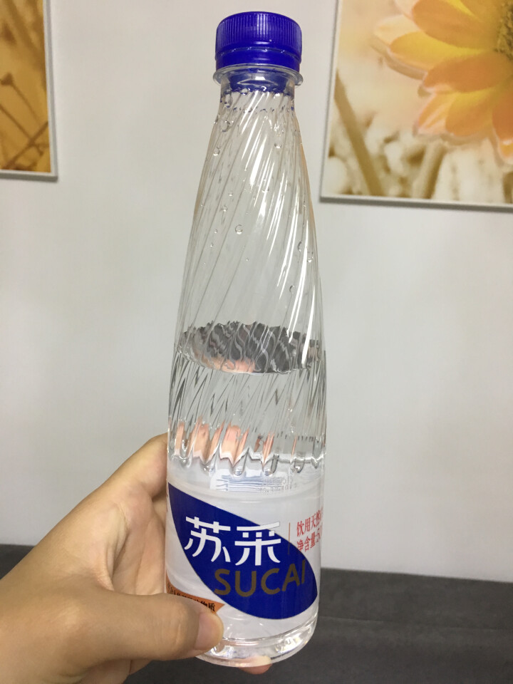 恒大 苏采天然矿泉水 饮用水 非纯净水 个性瓶身高颜值 500ml*1瓶（样品不售卖）怎么样，好用吗，口碑，心得，评价，试用报告,第3张