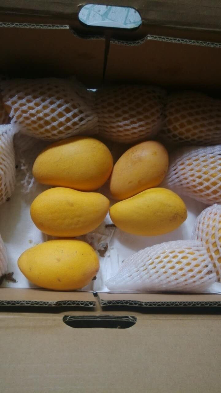 田阳馆 广西特产 小台农芒果5斤新鲜水果 2.5kg怎么样，好用吗，口碑，心得，评价，试用报告,第3张