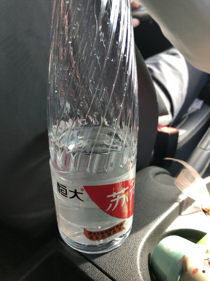 恒大 苏采天然矿泉水 饮用水 非纯净水 个性瓶身高颜值 500ml*1瓶（样品不售卖）怎么样，好用吗，口碑，心得，评价，试用报告,第4张